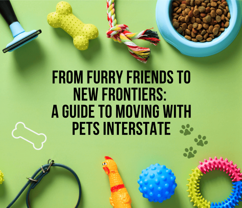 A happy dog sitting beside moving boxes in a bright living room, ready for a move